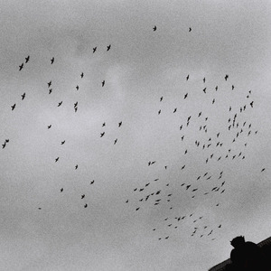 久久性爱一级黄片
