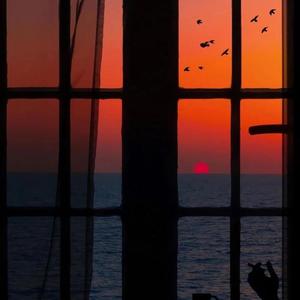 久久性爱一级黄片
