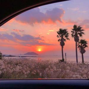 久久性爱一级黄片
